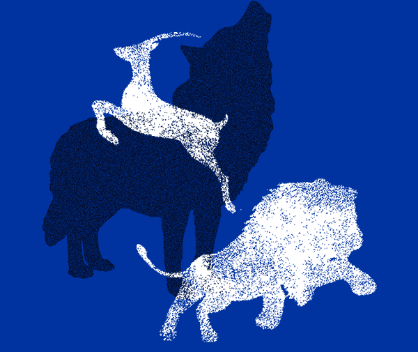 首页-人生就是博中国官方网站